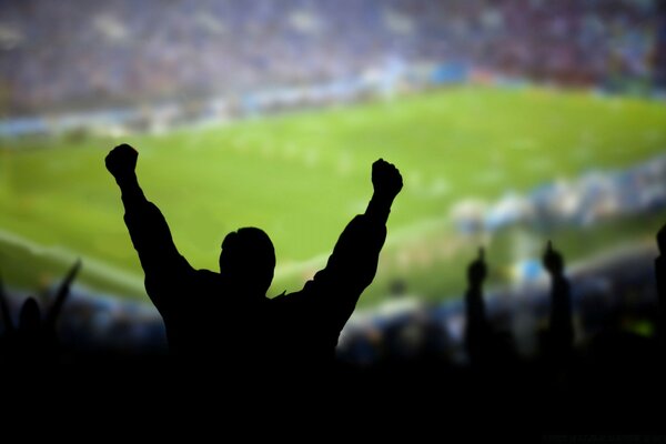 Los aficionados en el campo de fútbol se regocijan