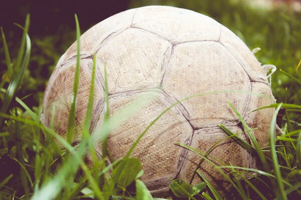 A soccer ball is lying in the long grass