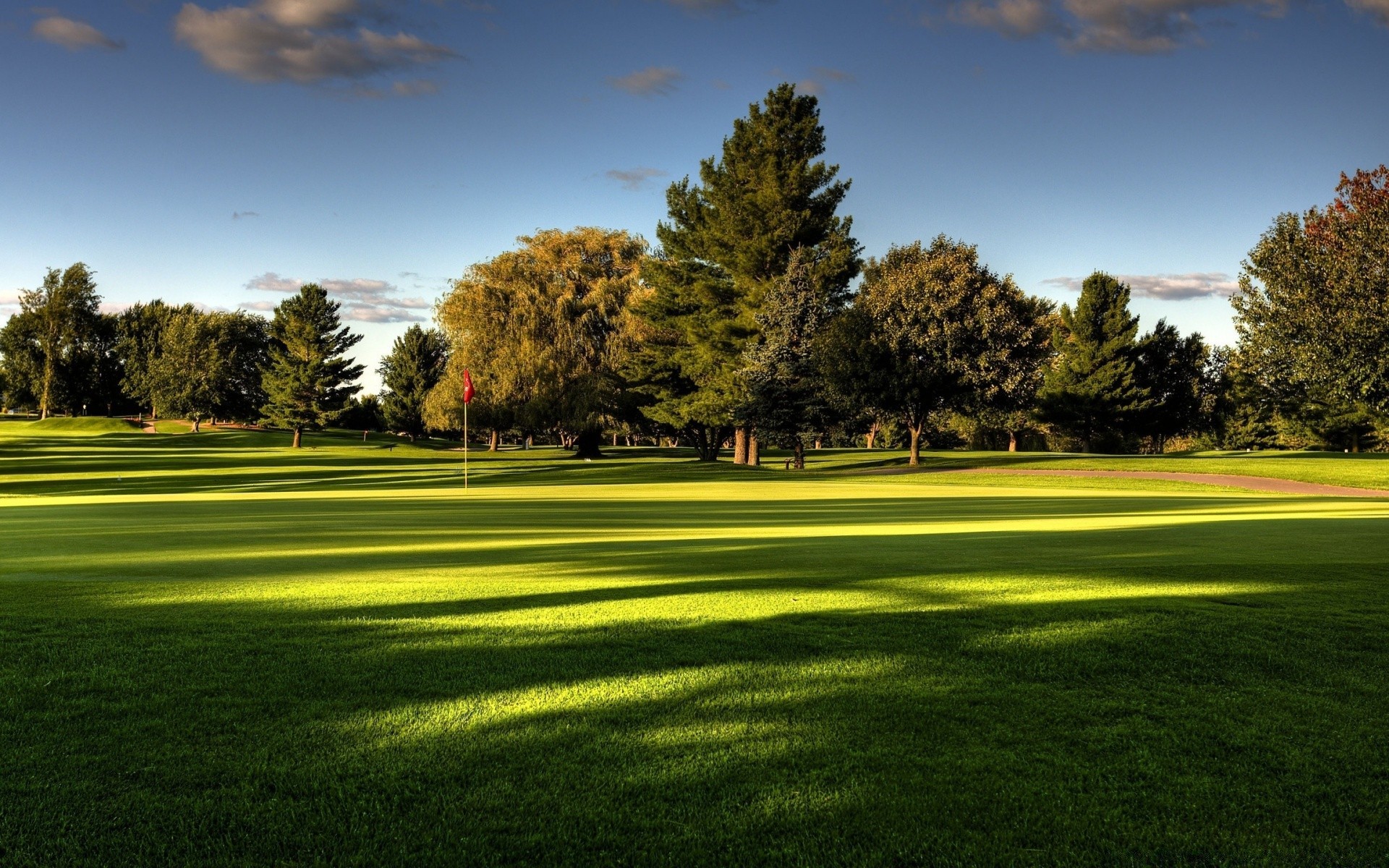 golf hierba putt paisaje césped árbol golfista curso calle tee naturaleza al aire libre parque