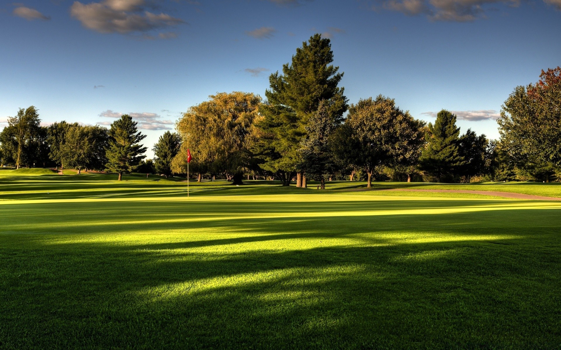 гольф трава бип пейзаж газон дерево гольфист конечно фарватер тройник природа на открытом воздухе парк