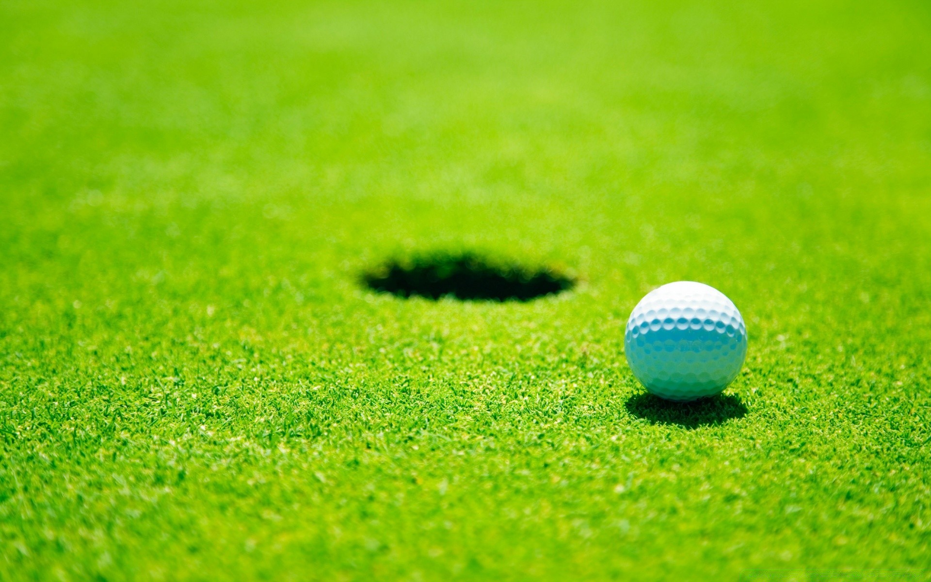 golf gras ball golfer putten natürlich t-stück rasen club sommer urlaub natur