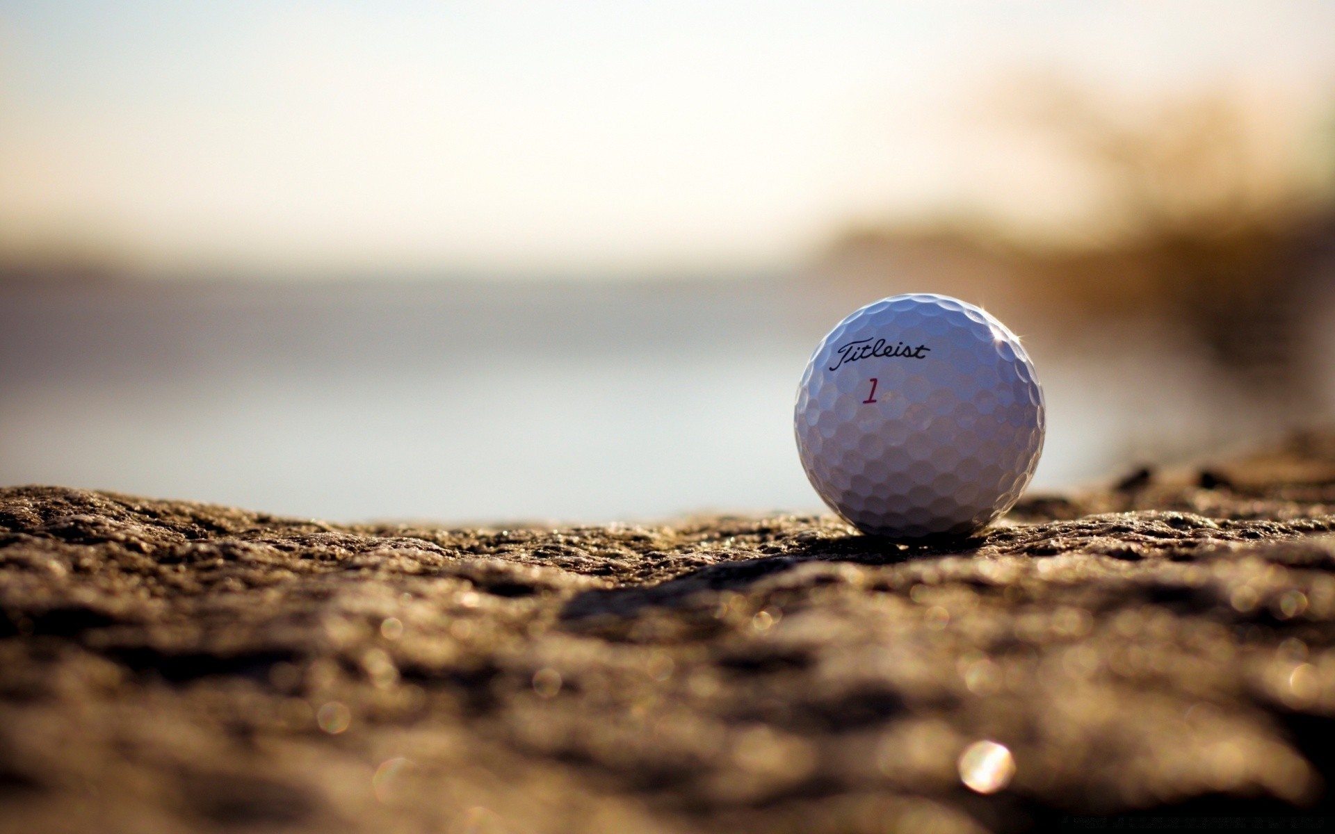 golfe borrão natureza bola areia pôr do sol ainda vida sol ao ar livre madeira praia