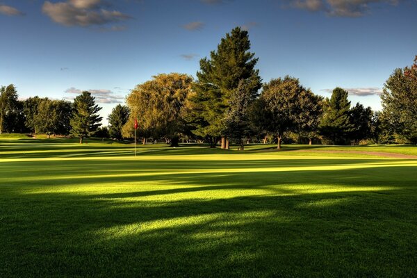 Belle pelouse sur le terrain de golf