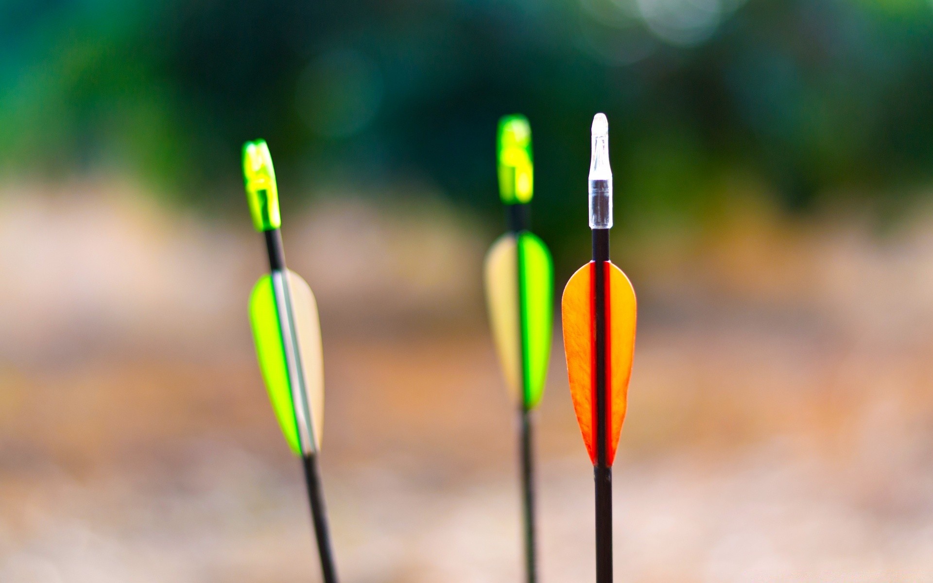 sport im freien unschärfe natur sommer holz