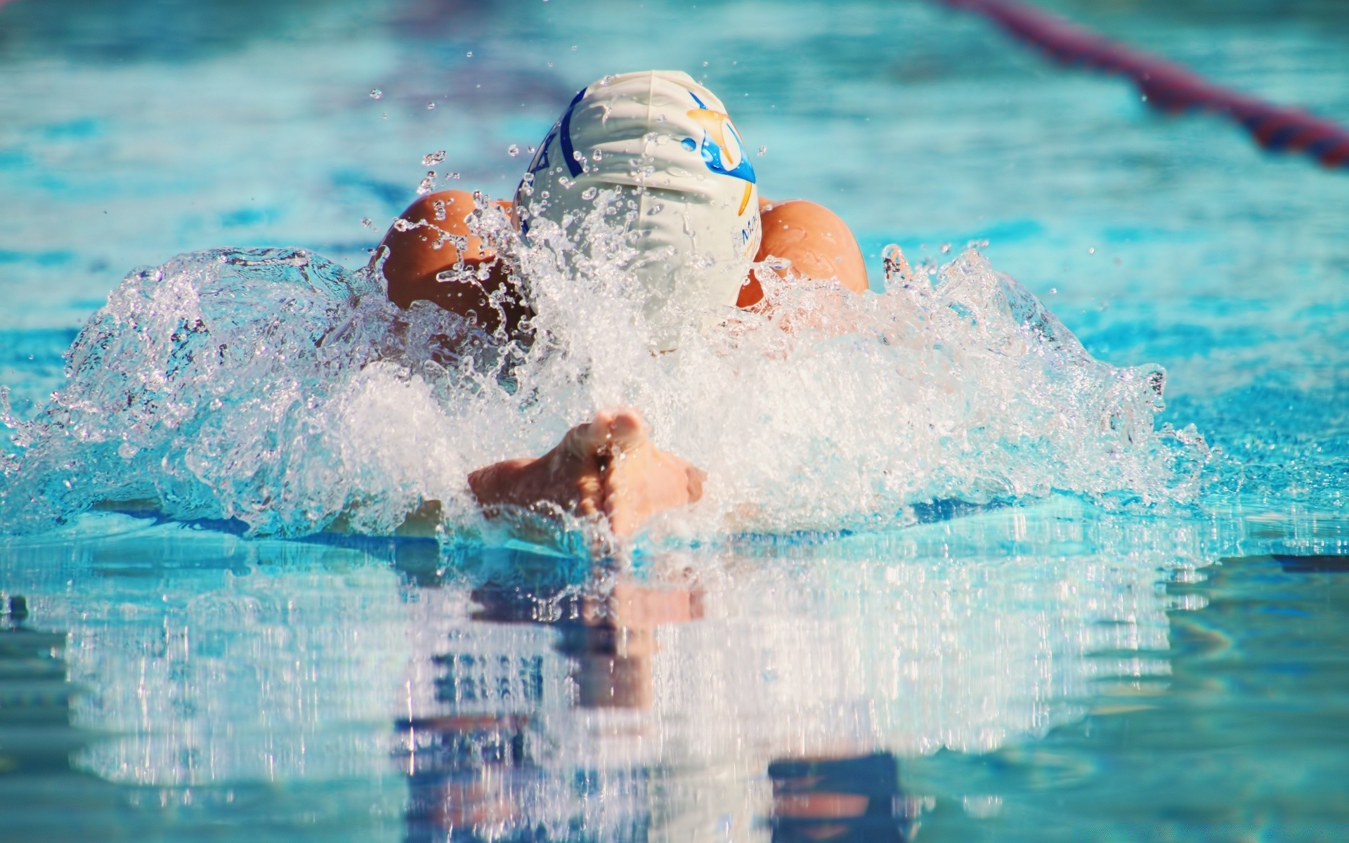 sport nuoto nuotatore acqua bagnato piscina piscina occhiali splash sport acquatici tempo libero tempo libero sport divertimento subacqueo freestyle azione esercizio immersioni colpo