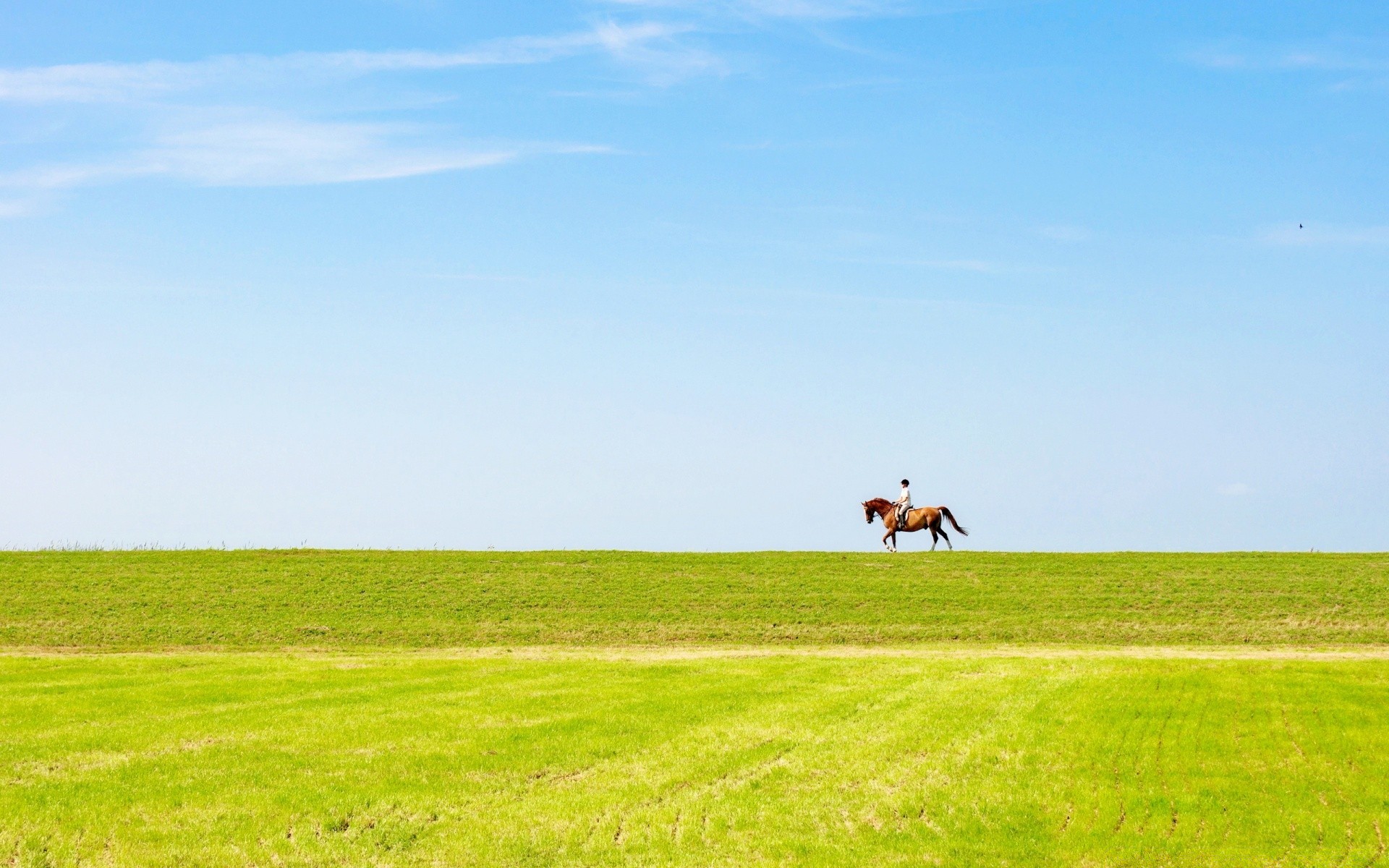 sports landscape field agriculture grass farm rural pasture countryside sky outdoors nature hayfield summer grassland country farmland