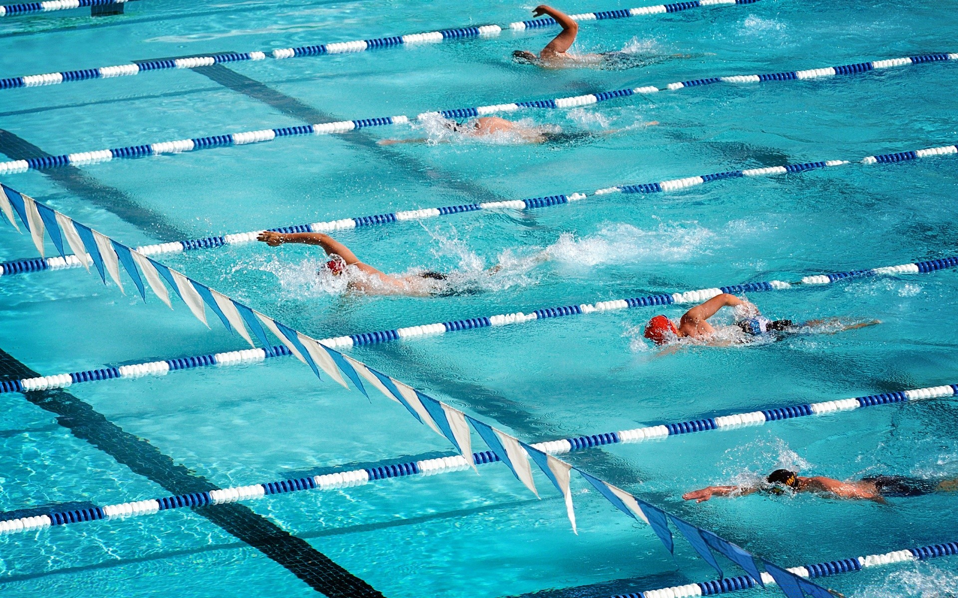 esportes natação água piscina competição piscina debaixo d água nadador corrida lazer molhado férias viagens óculos esportes aquáticos respingo diversão resort verão