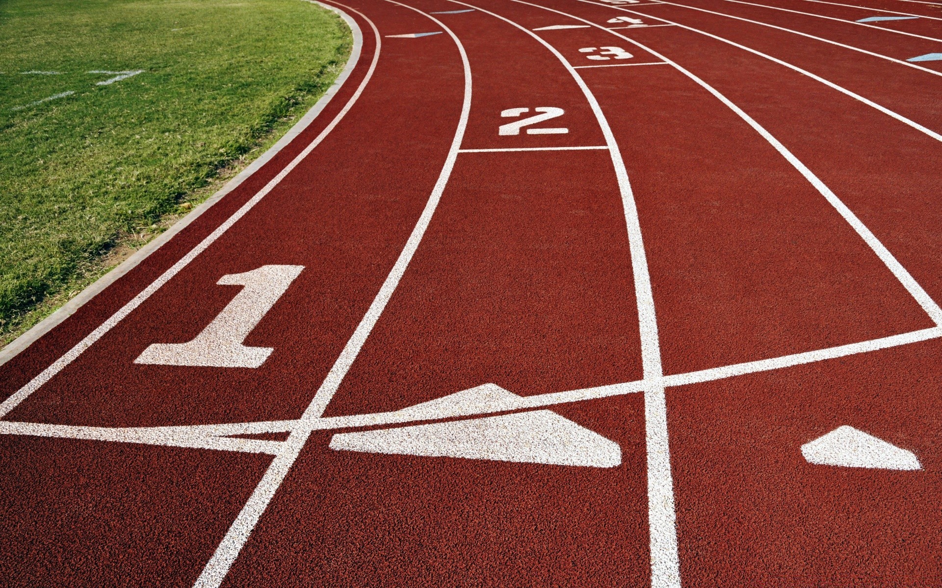 sport track wettbewerb starten leichtathletik rennen läufer stadion gasse sprint vorwärts sprinter absatz herausforderung feld linie asphalt laufen kariert asphalt