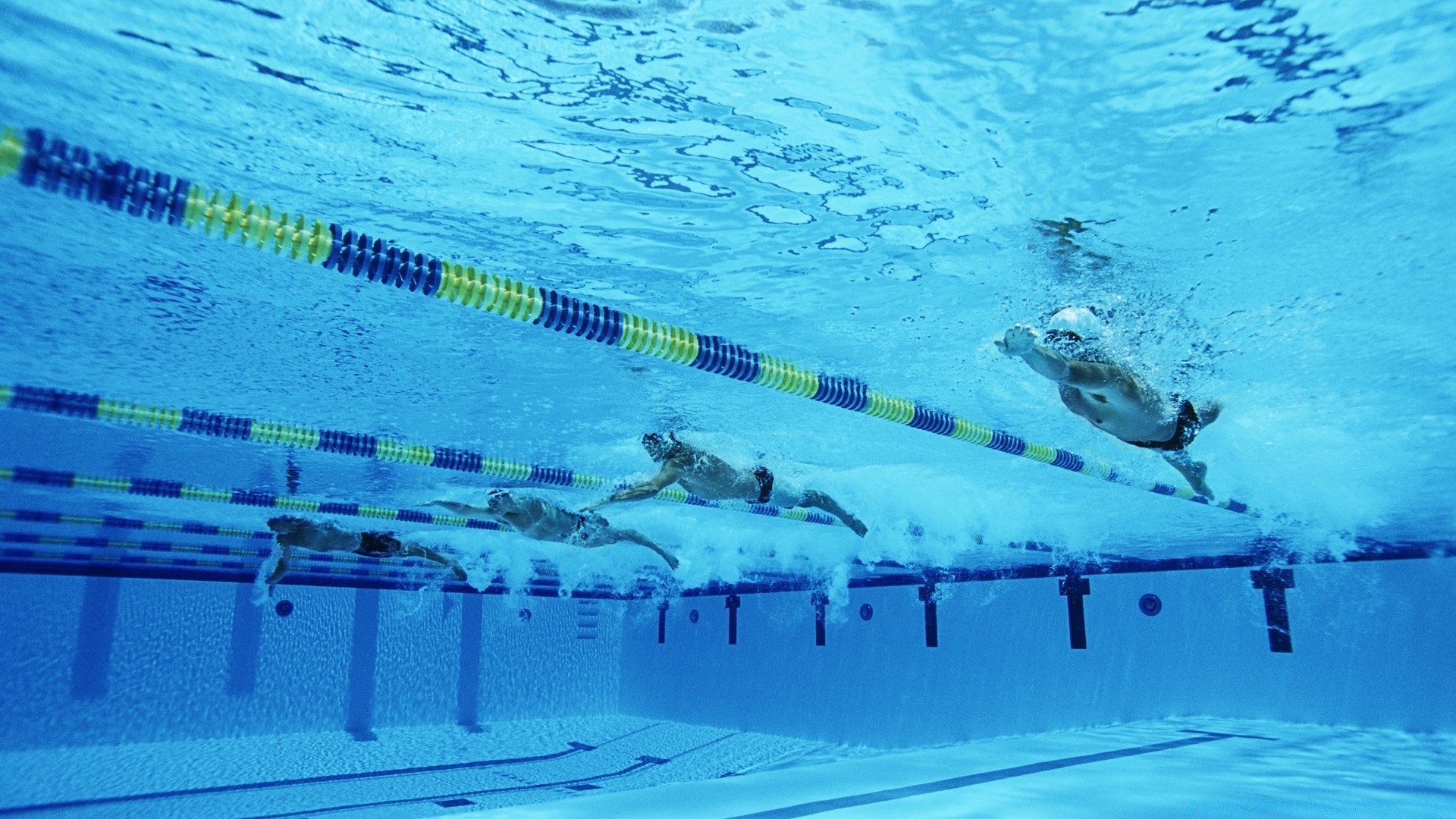 deportes agua natación submarino piscina viajes