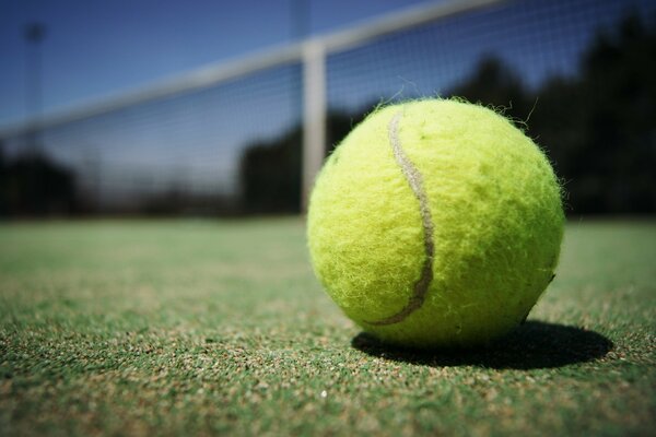 The tennis mast is lying on the wood court