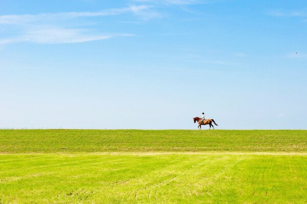 Cavaleiro a cavalo no horizonte no campo