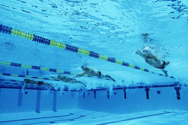 Four swimmers compete in the pool