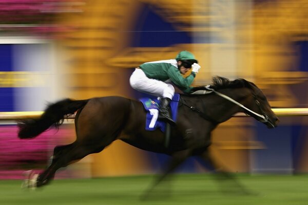 Corridas de cavalos, esportes equestres