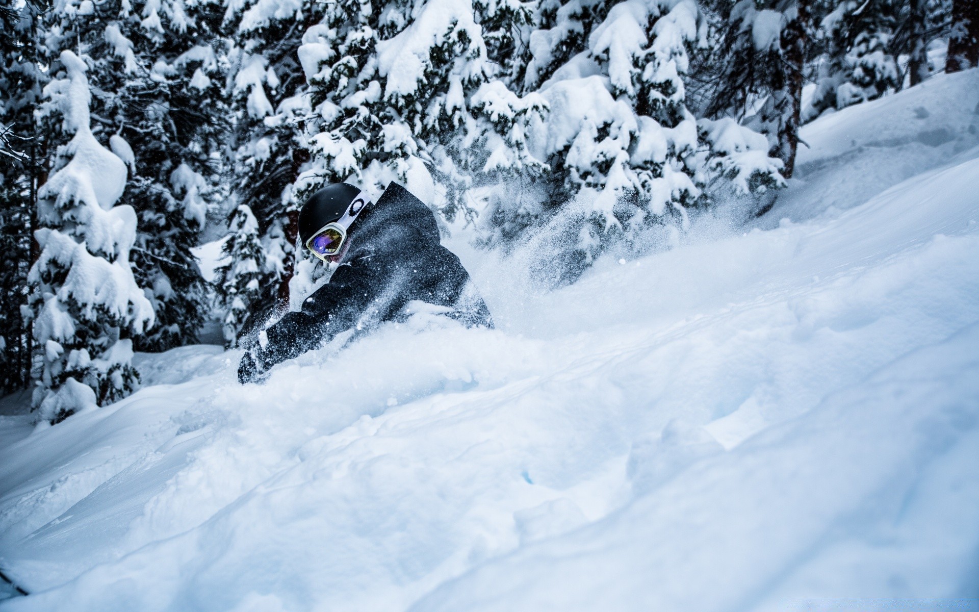 skiing snow winter cold ice mountain frozen weather frost landscape scenic outdoors wood resort frosty hill season adventure snowy