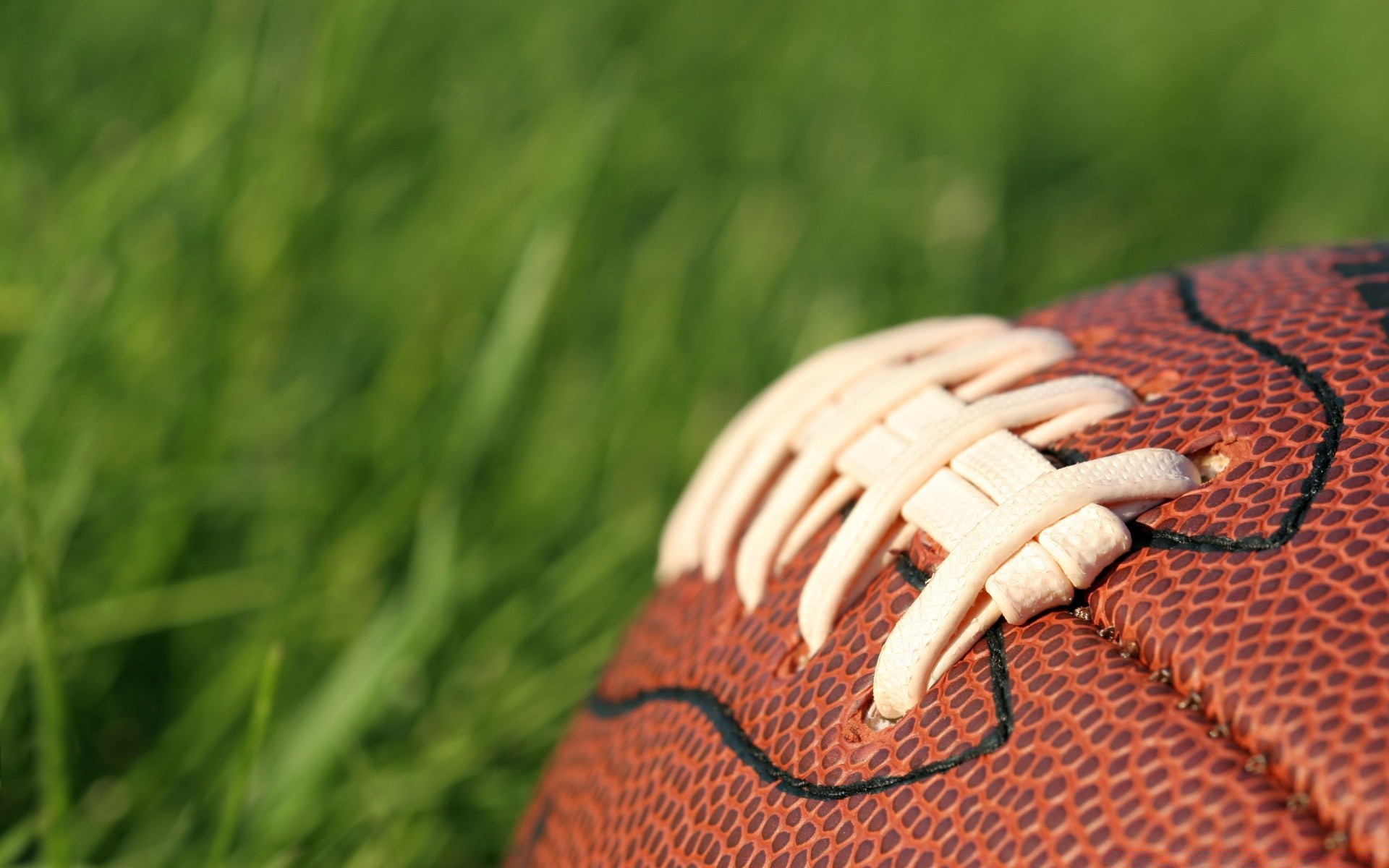 sport leder im freien gras sommer natur freizeit tragen freizeit ein ball