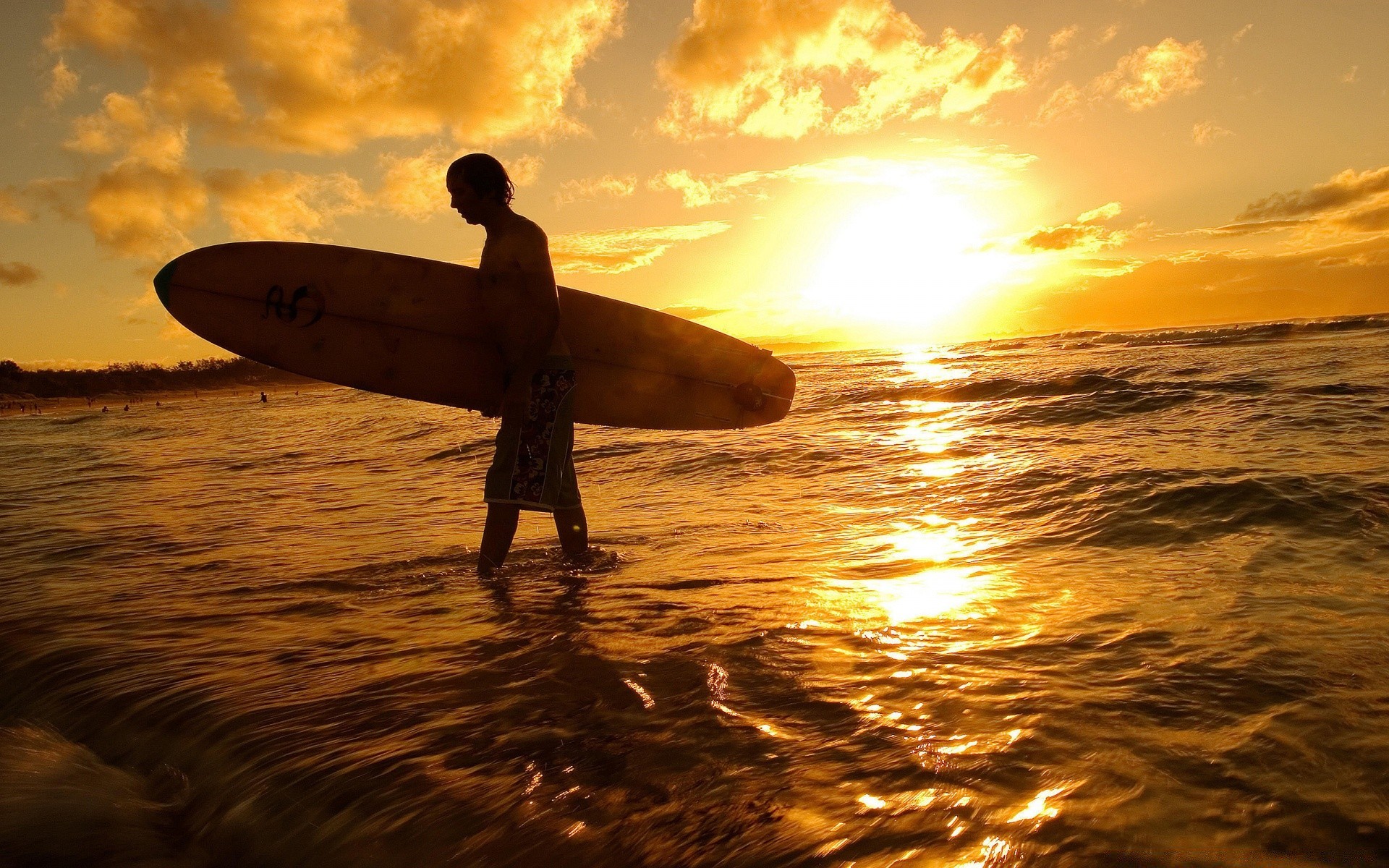 surfing zachód słońca woda plaża ocean morze świt słońce światło surf wieczorem zmierzch morze sylwetka