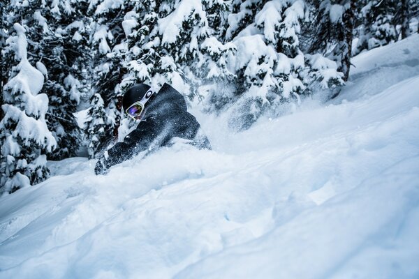 Winter sport skiing