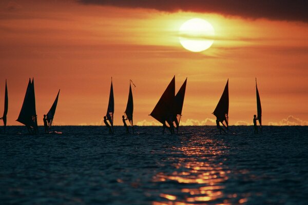 Surf con velas en el mar al atardecer