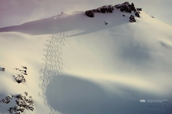 Pente de montagne enneigée au soleil avec des traces figurées sur la neige