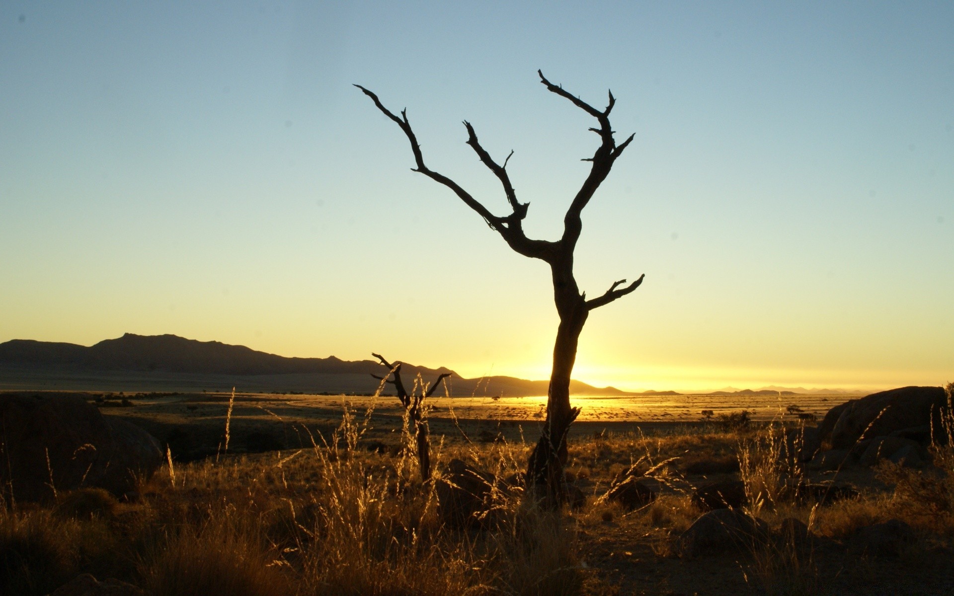 afrika landschaft sonnenuntergang himmel baum im freien dämmerung abend reisen natur dämmerung