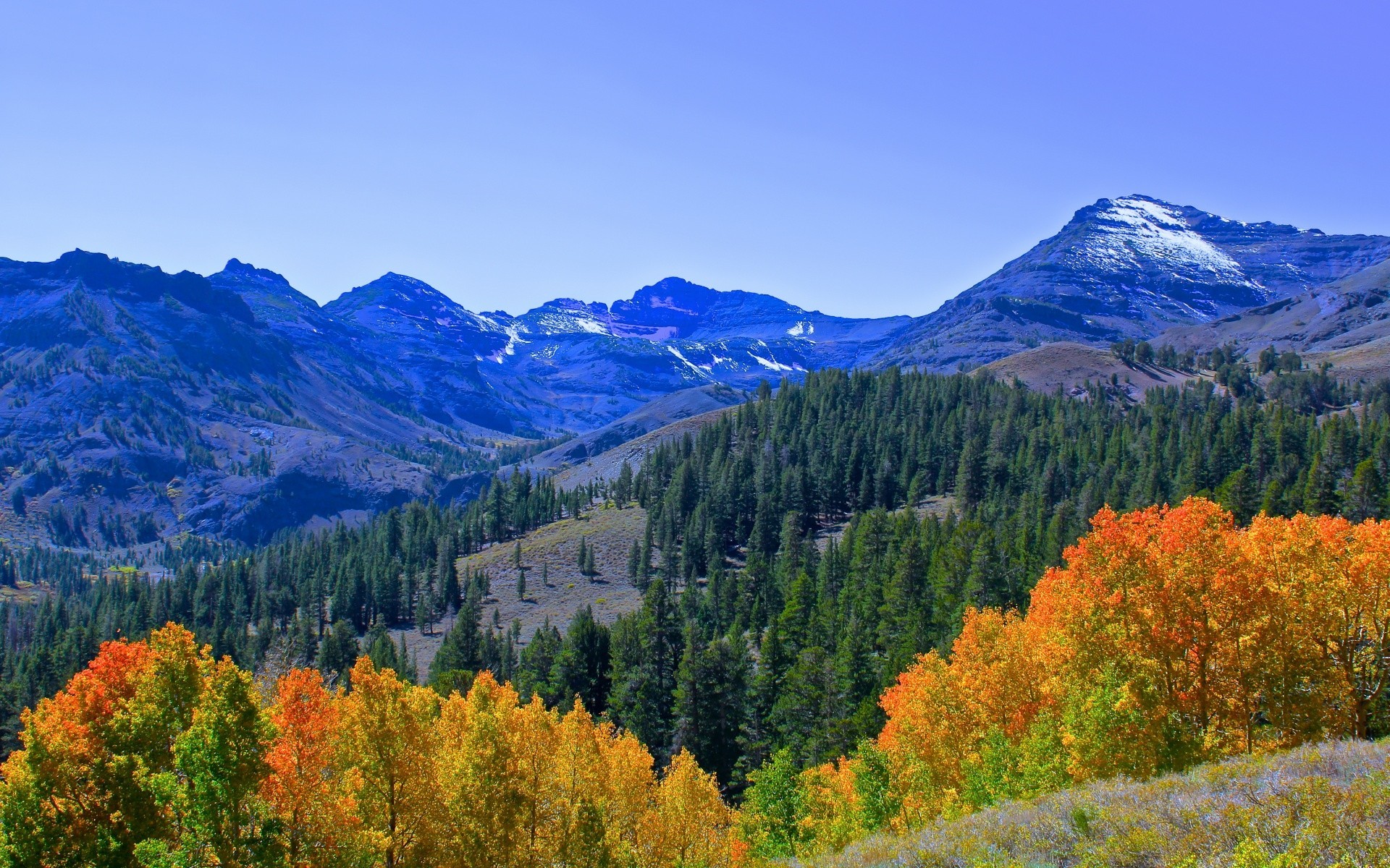 amérique automne bois à l extérieur montagnes scénique paysage neige nature arbre sauvage feuille lumière du jour voyage ciel