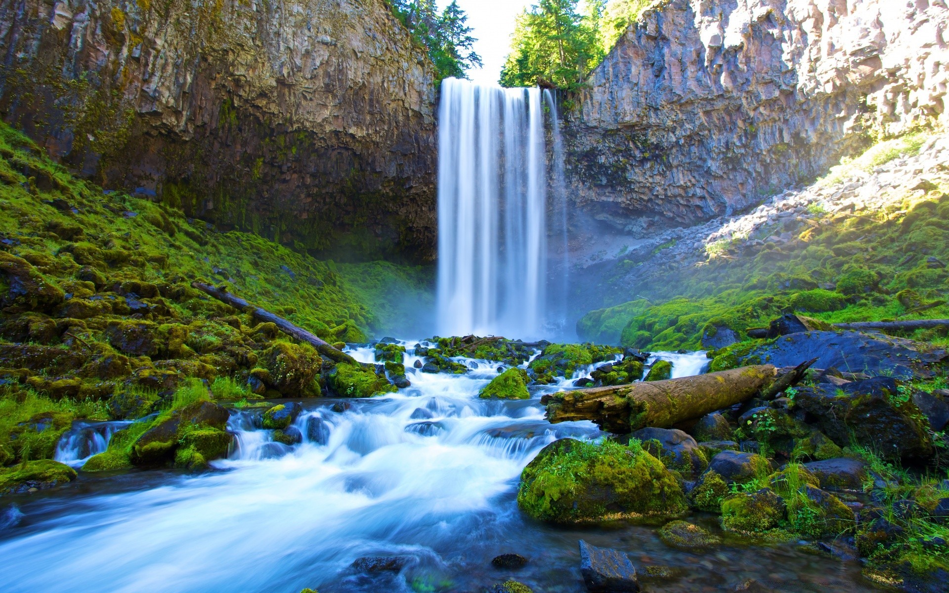 america waterfall water river stream nature rock cascade fall wood moss leaf landscape outdoors travel creek splash mountain wet tree