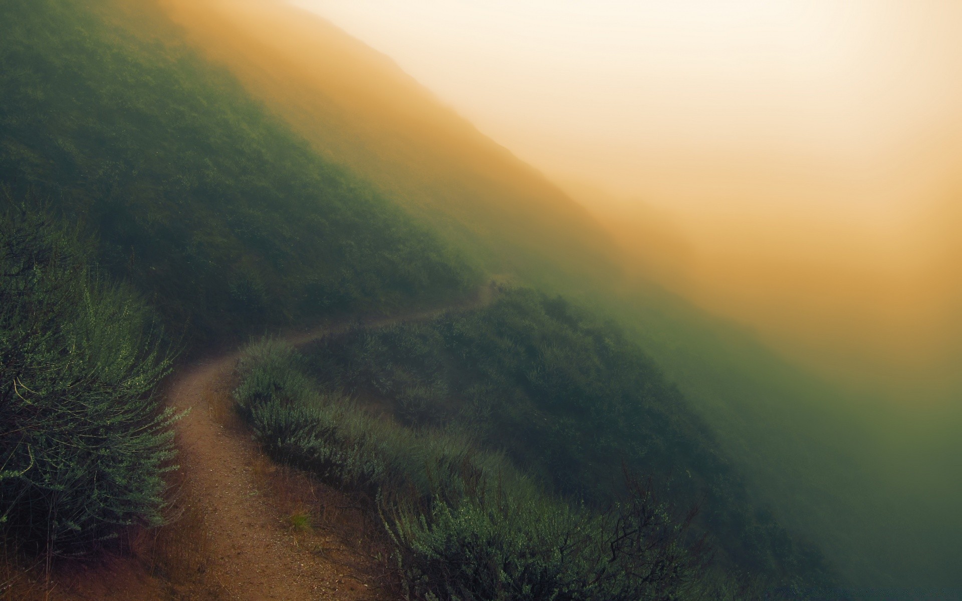 américa paisaje niebla puesta de sol agua naturaleza niebla amanecer árbol viajes al aire libre montaña cielo luz del día playa luz noche mar