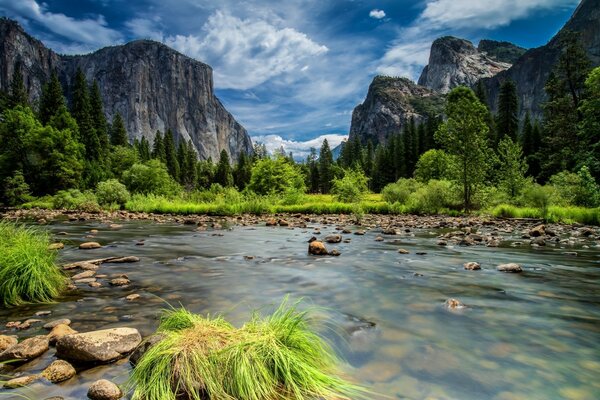 अमेरिका के प्रकृति भंडार की यात्रा