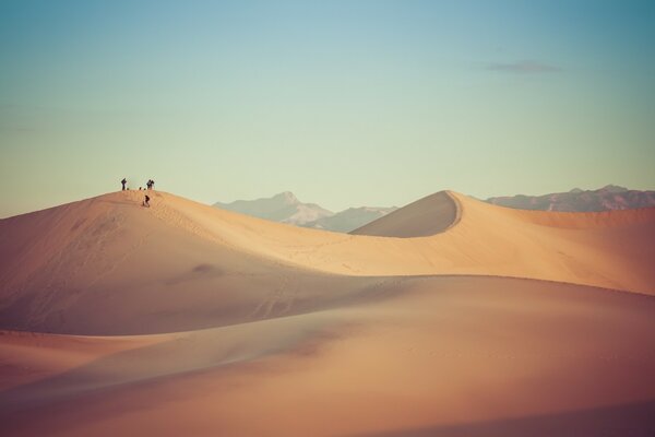 Dunes du désert sur fond d aube