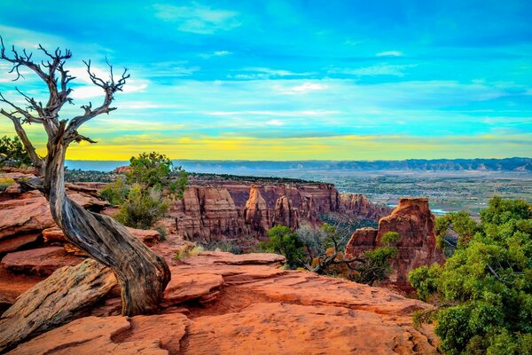 Schöne Aussicht von der Klippe auf die Natur