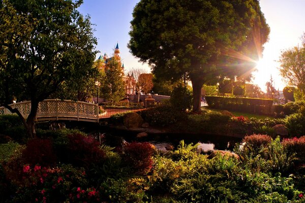 Outdoor park at sunset