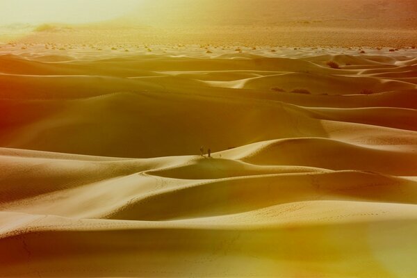 Et nous ne partons que dans les sables