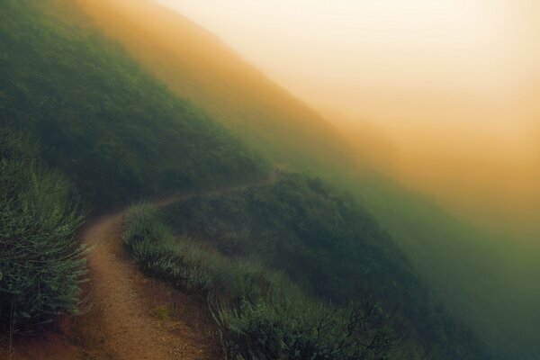 Desierto regional Sunol-día de niebla