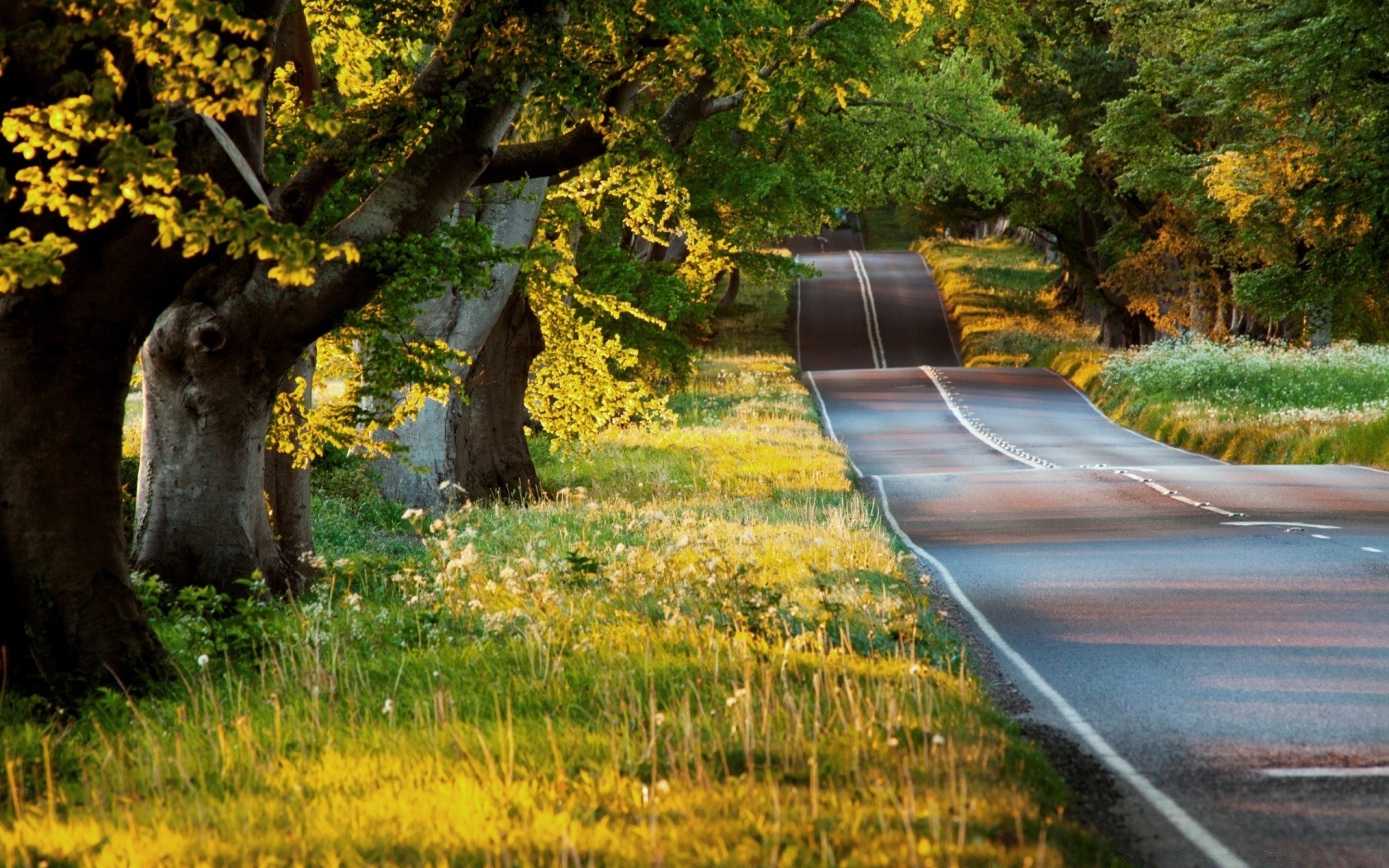 krajobrazy jesień drzewo natura liść drewna na zewnątrz krajobraz wodny trawa przewodnik park podróż droga sceniczny kolor sezon