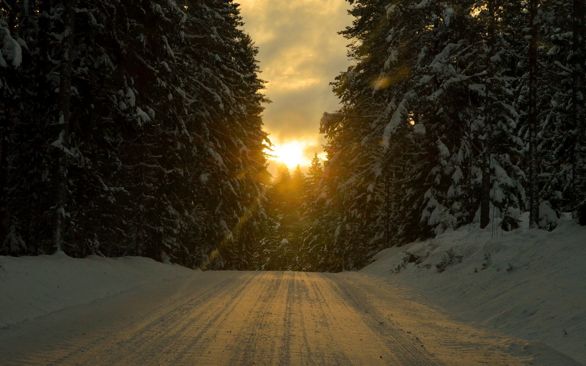 landschaft winter schnee holz holz landschaft kälte frost dämmerung im freien natur eis abend licht sonnenuntergang gutes wetter straße wetter gefroren