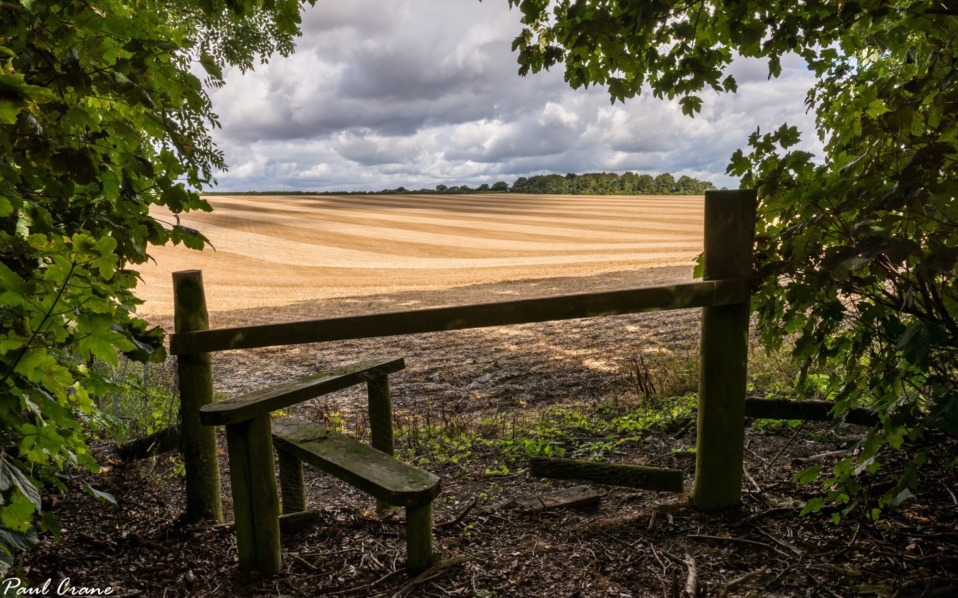 landscapes wood tree wooden outdoors nature bench empty road grass landscape guidance leaf travel summer daylight fence countryside rural