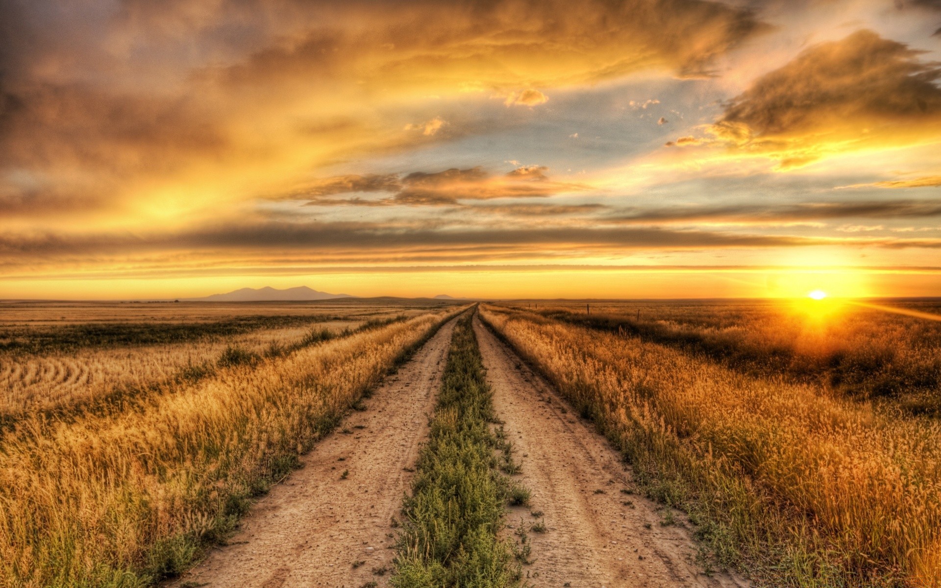 landscapes sunset sky sun landscape dawn nature rural field countryside cloud fair weather agriculture