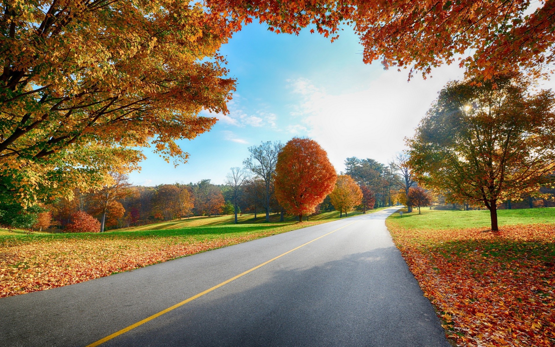 paisaje otoño camino hoja árbol guía rural al aire libre paisaje naturaleza campo temporada parque