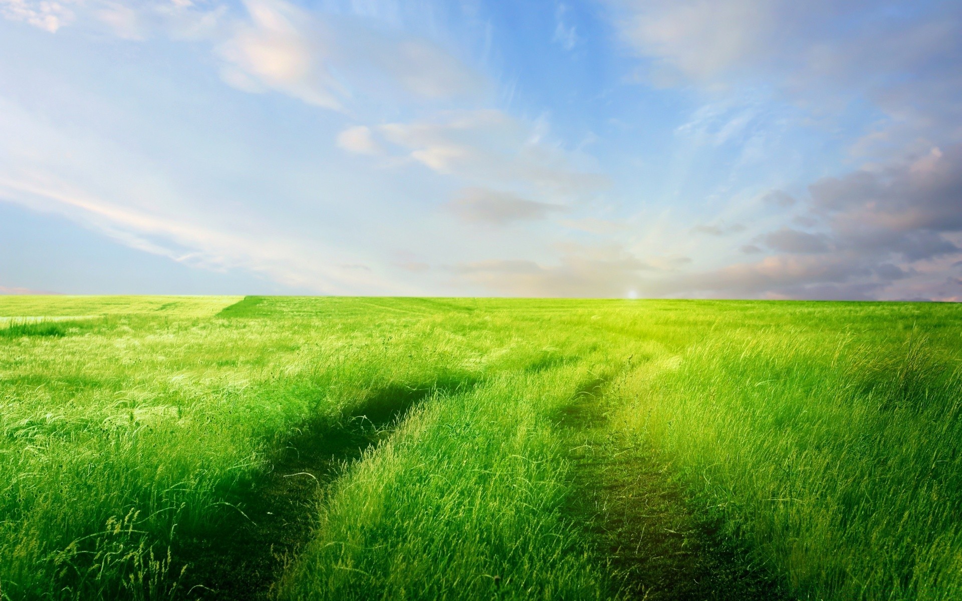 landscapes grass field hayfield rural soil pasture landscape lawn sun countryside horizon nature summer farm grassland fair weather sky growth cloud