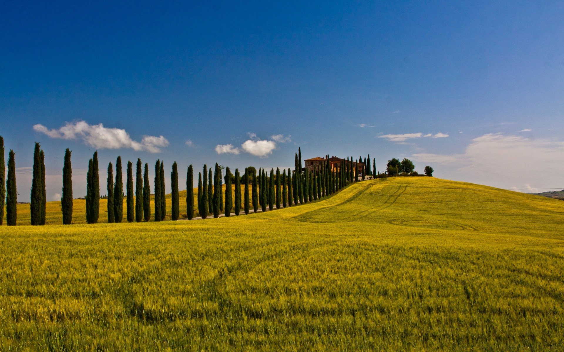 paisaje paisaje agricultura cielo campo al aire libre campo naturaleza granja árbol tierra cultivada rural hierba luz del día heno crecimiento país