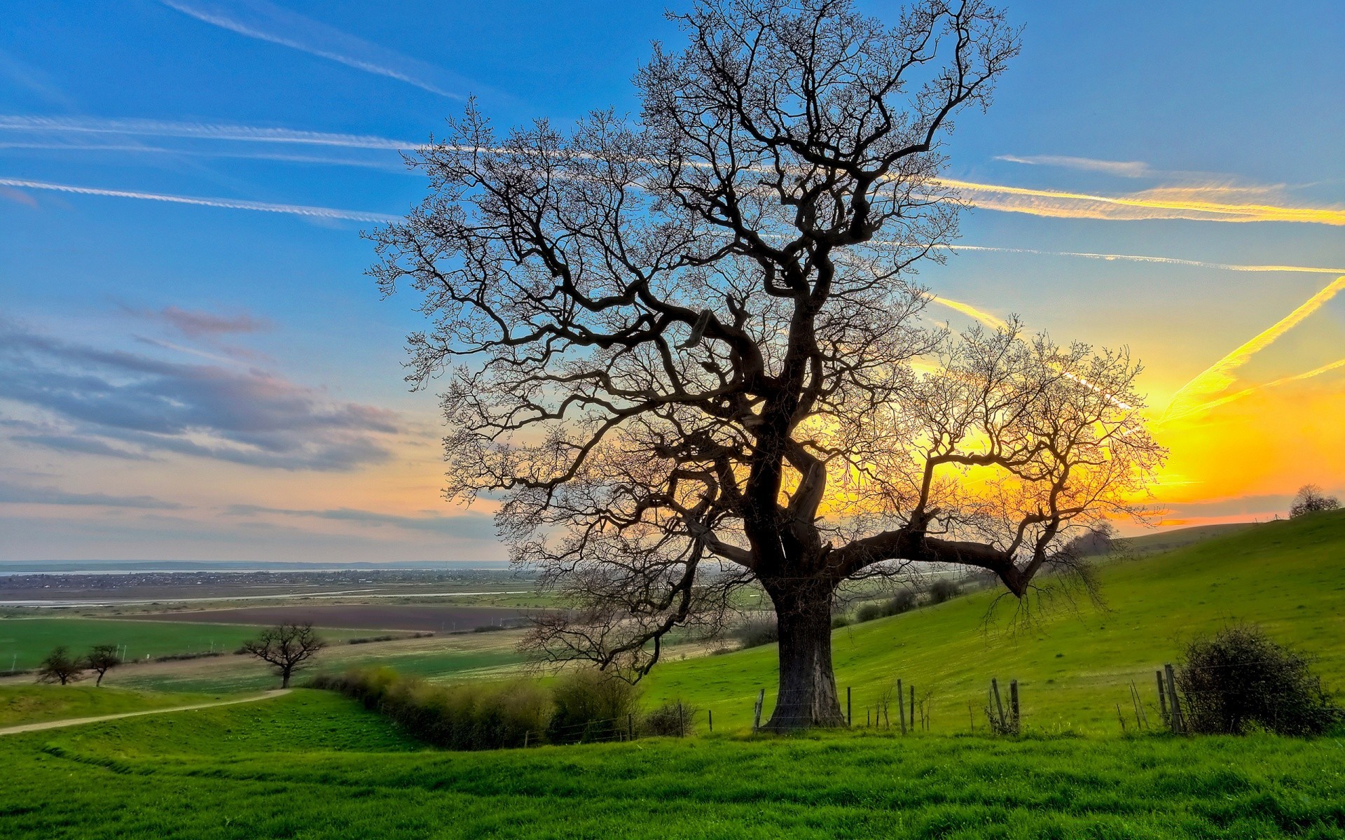 landschaft landschaft baum gras natur des ländlichen heuhaufen landschaft himmel feld landschaftlich im freien landschaft sommer spektakel landwirtschaft gutes wetter jahreszeit horizont idylle