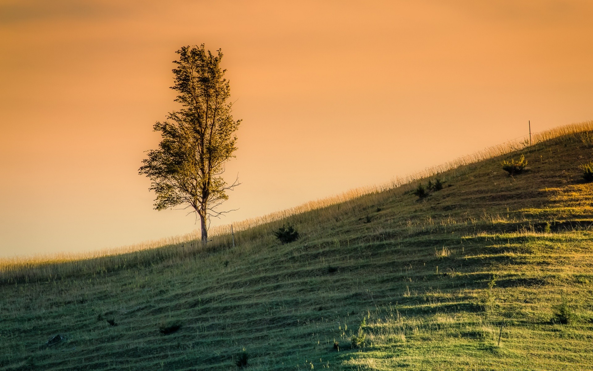 paisaje paisaje puesta de sol amanecer al aire libre árbol naturaleza agricultura cielo tierra cultivada noche sol campo luz otoño viajes niebla buen tiempo hierba campo