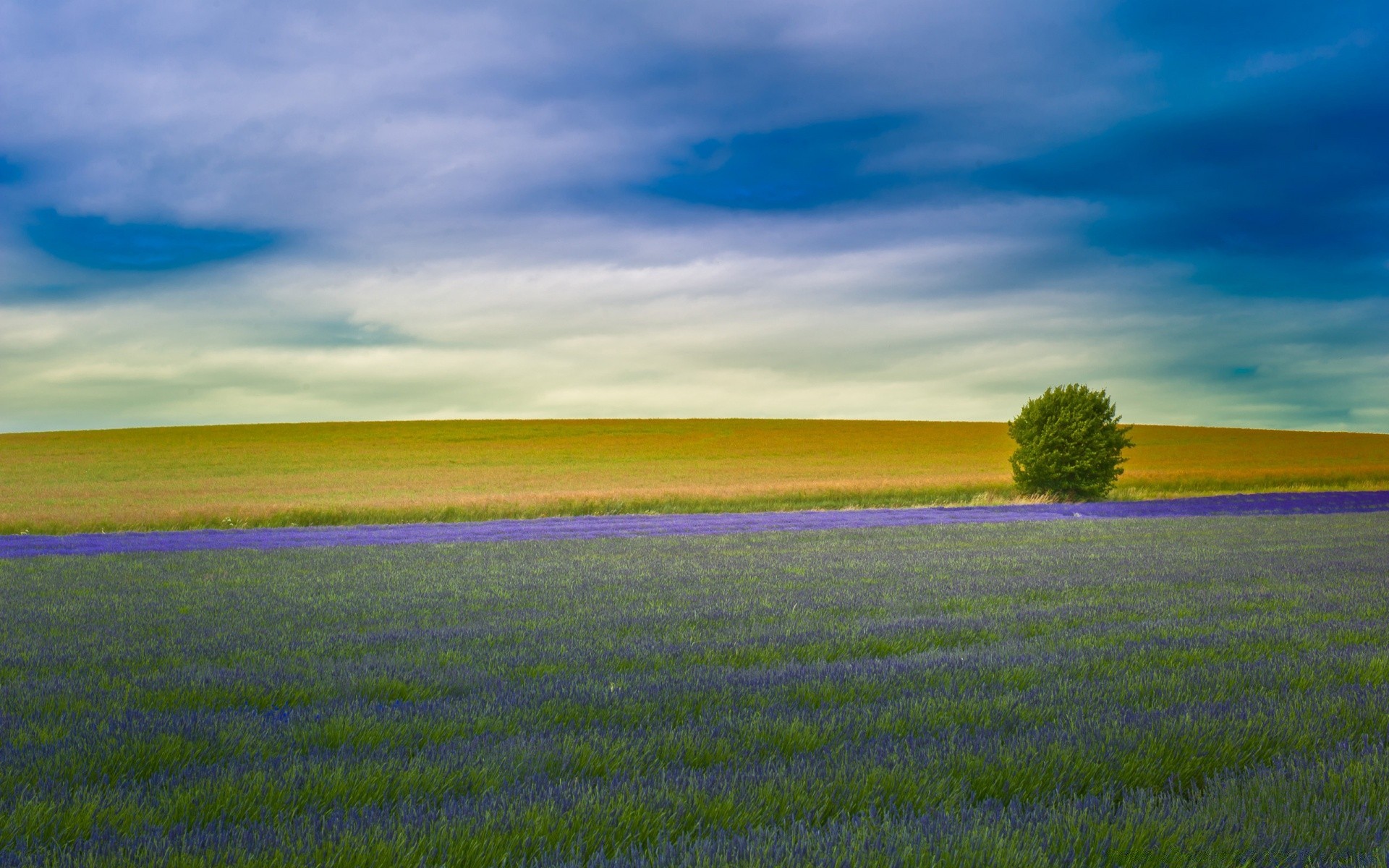 paesaggio cielo paesaggio all aperto natura agricoltura estate rurale erba campagna pascolo campo fattoria sole bel tempo