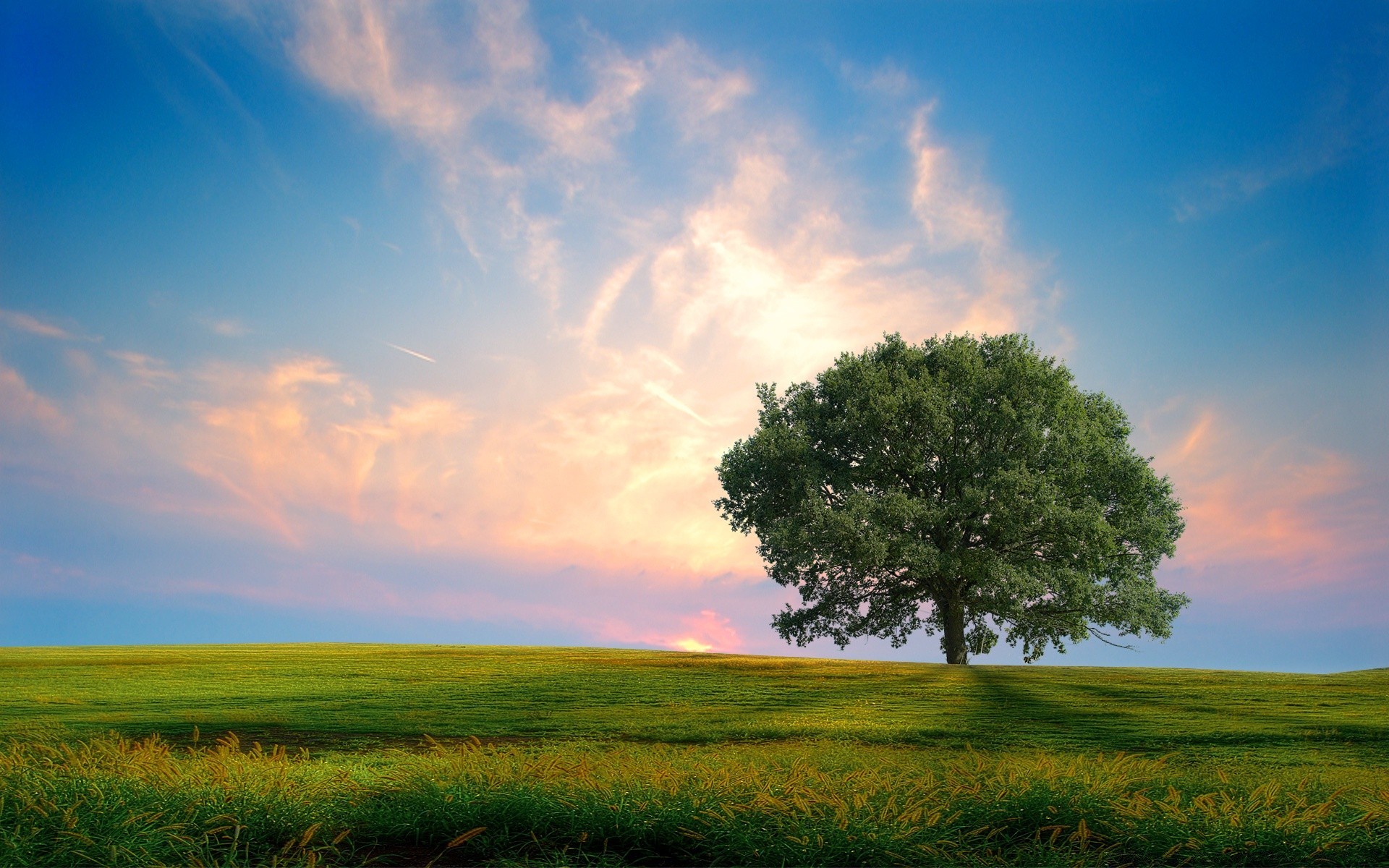 landscapes landscape rural nature grass sun field sky countryside horizon hayfield fair weather summer sunset pasture cloud farm dawn grassland weather