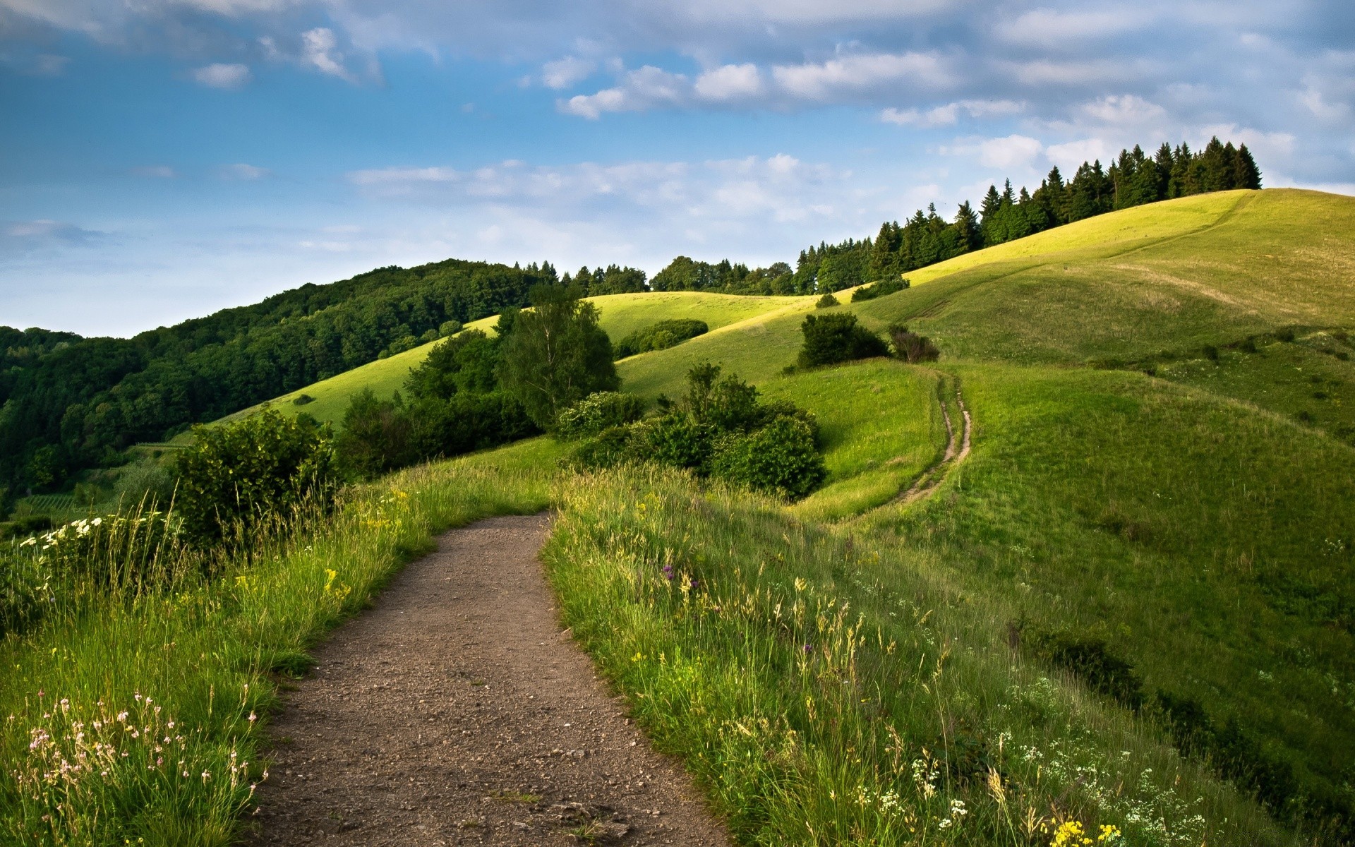 paysage paysage herbe campagne colline nature foin route à l extérieur arbre scénique ciel champ rural été l agriculture voyage pays pâturages