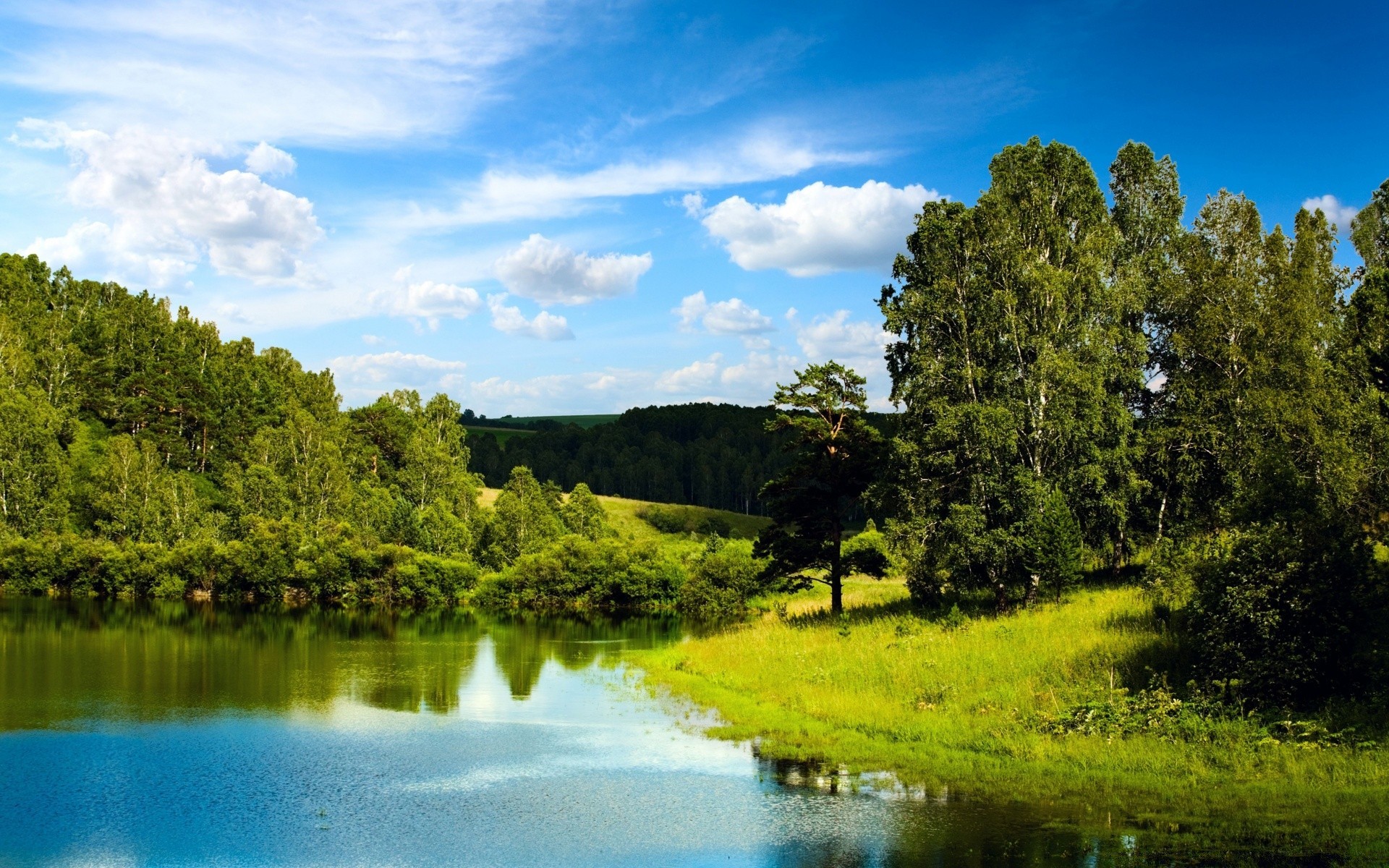 paysage paysage arbre nature eau ciel lac bois rivière été à l extérieur scénique herbe réflexion environnement idylle voyage lumière du jour parc rural