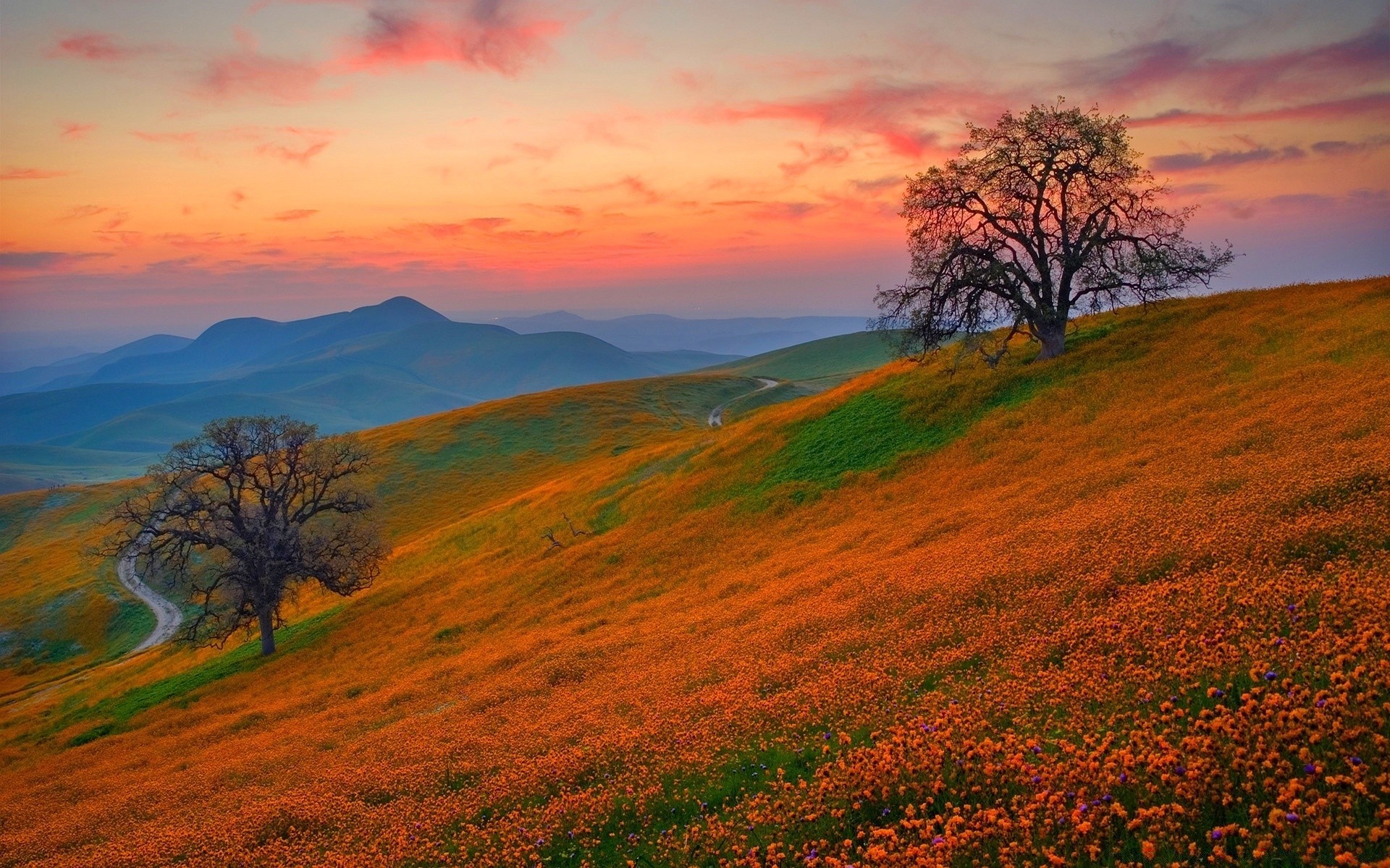 закат горы цветы холмы бесплатно