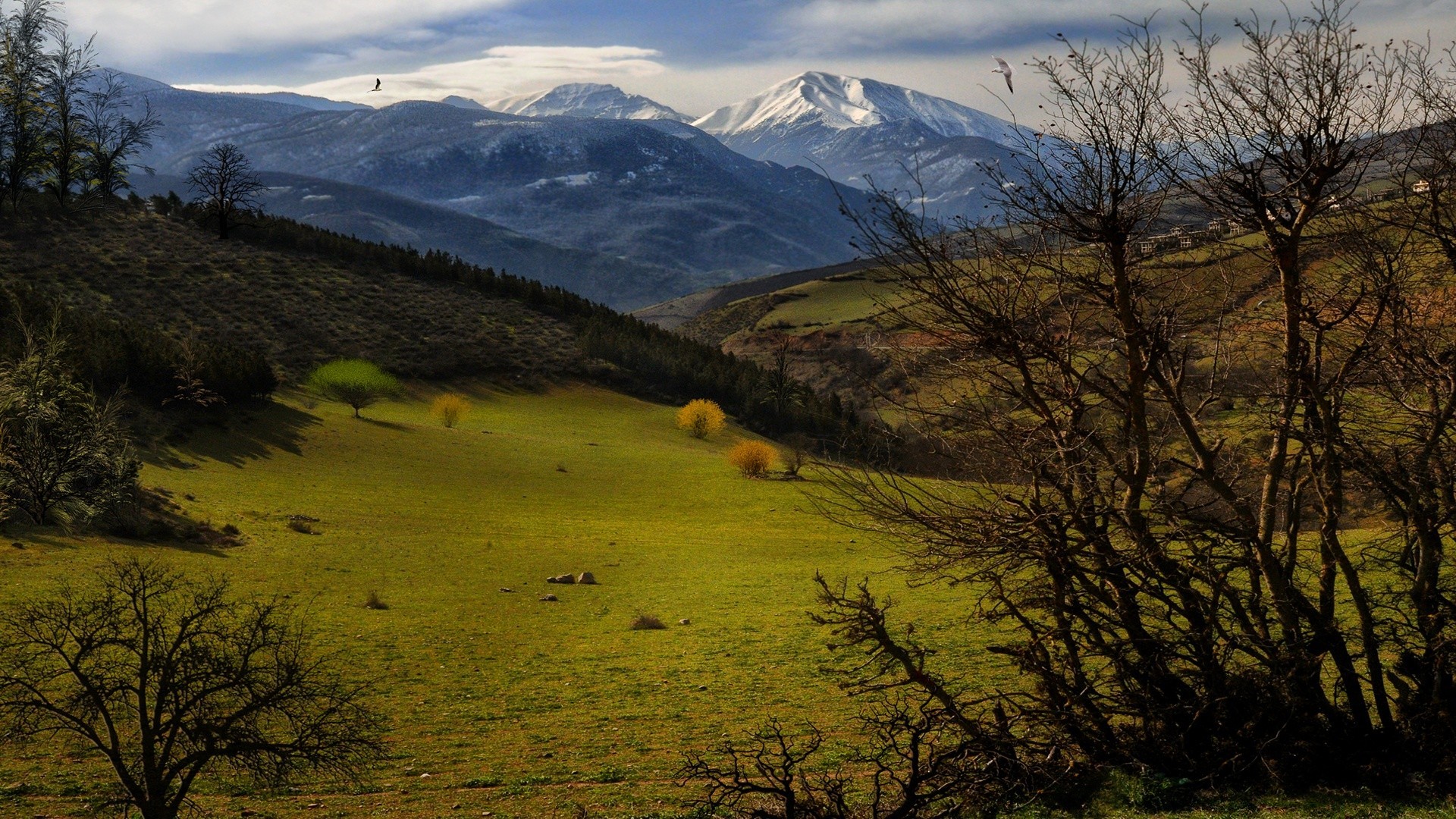 paesaggio paesaggio natura albero all aperto montagna cielo viaggi legno alba autunno scenico erba tramonto