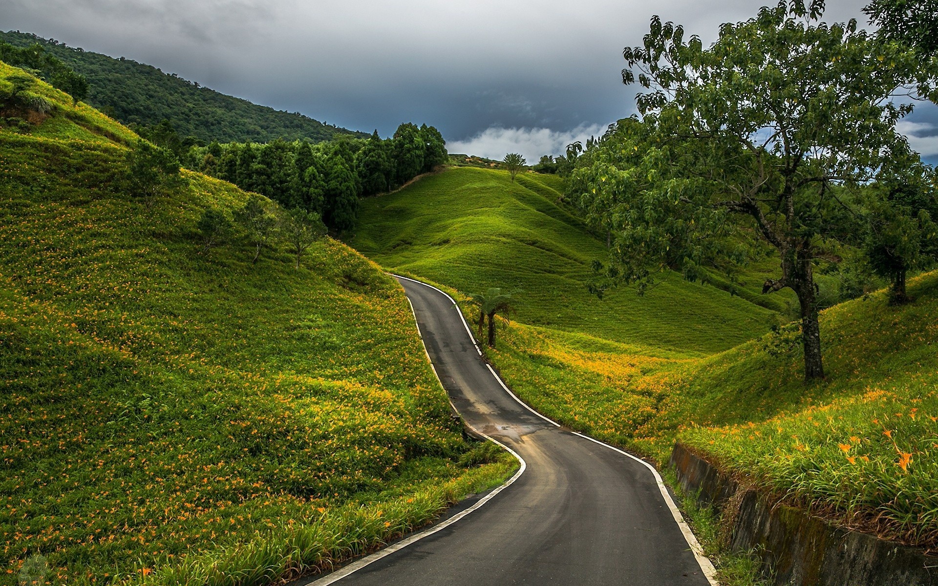 landschaft straße landschaft natur reisen gras landschaft ländliche im freien baum guide berg himmel hügel landschaftlich sommer holz