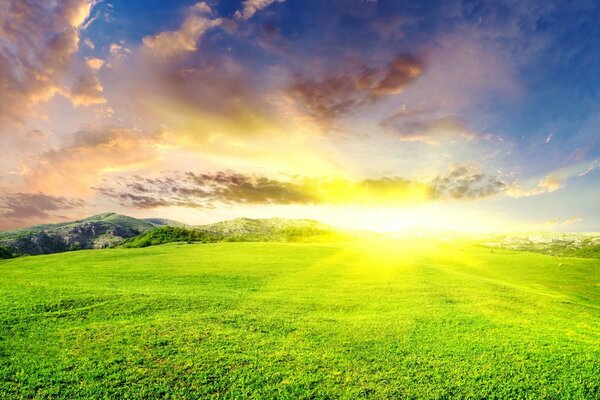 Gras-Landschaft unter der Sonne in der Natur